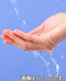 �C���[�W�ʐ^�B